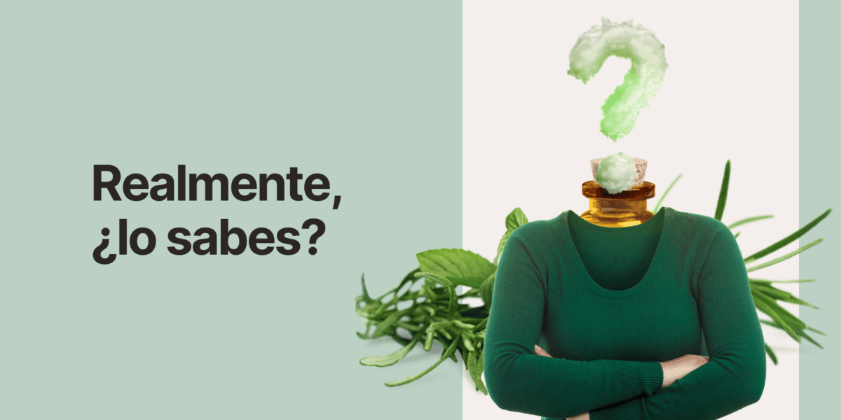 ¿Qué significa realmente un alisado orgánico? La verdad detrás del concepto que revolucionó la belleza capilar