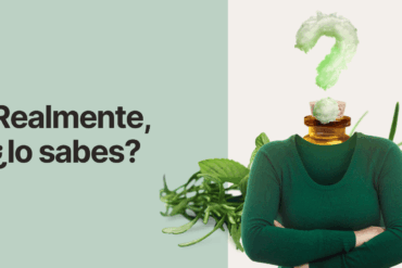 ¿Qué significa realmente un alisado orgánico? La verdad detrás del concepto que revolucionó la belleza capilar